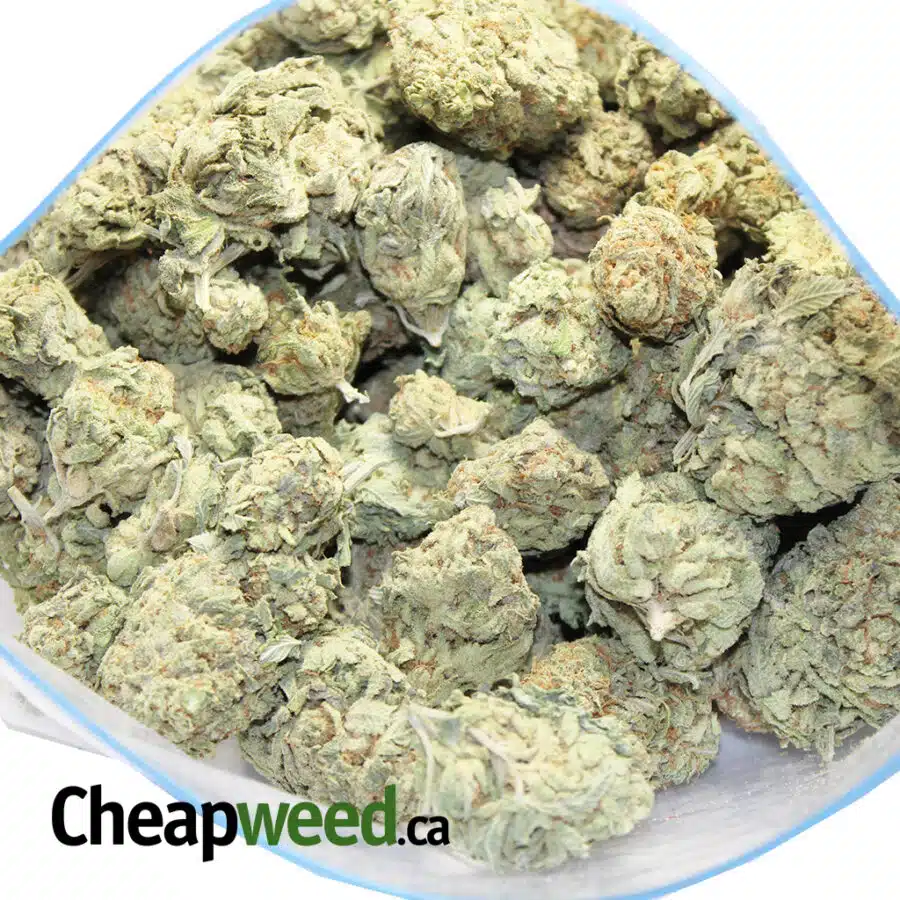 SELECT SATIVA 2 3 I Select Sativa #2
