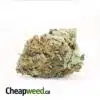 Tony's Jet Fuel Kush