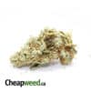 Budget Indica