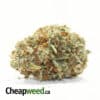 $109 OZ - Ghost Haze