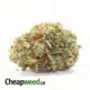 $109 OZ - Ghost Haze