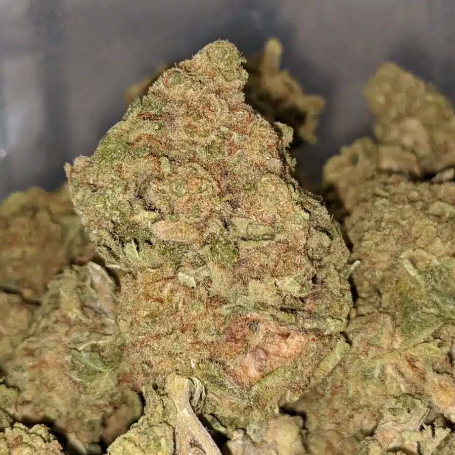green widow bs 1 I Green Widow Bulk Special