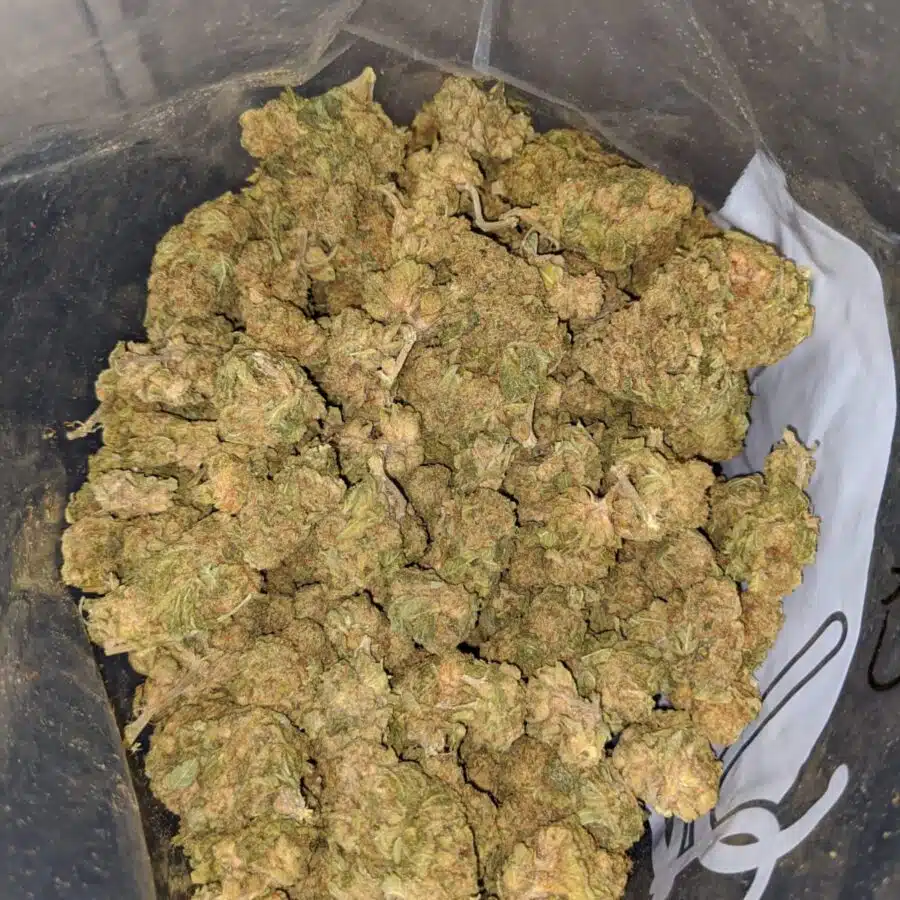 green widow bs 4 I Green Widow Bulk Special