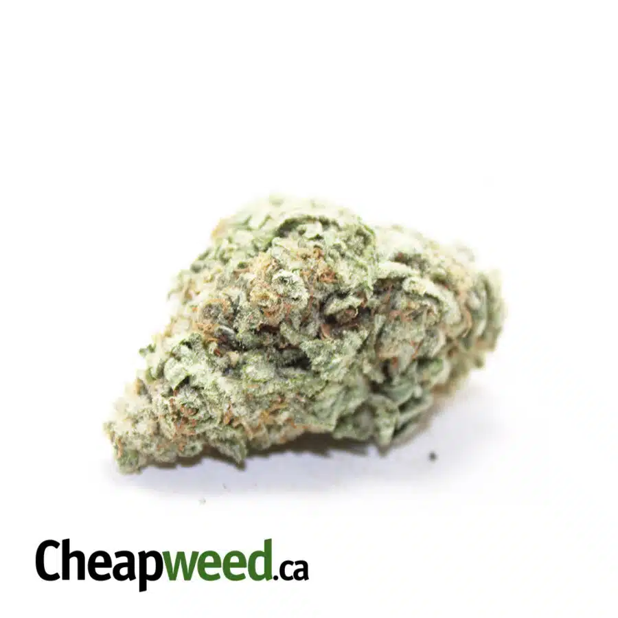 Super Diesel X Lemon Thai
