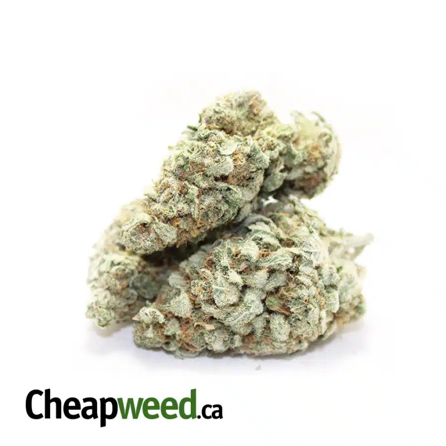 Alternative view of Super Diesel X Lemon Thai