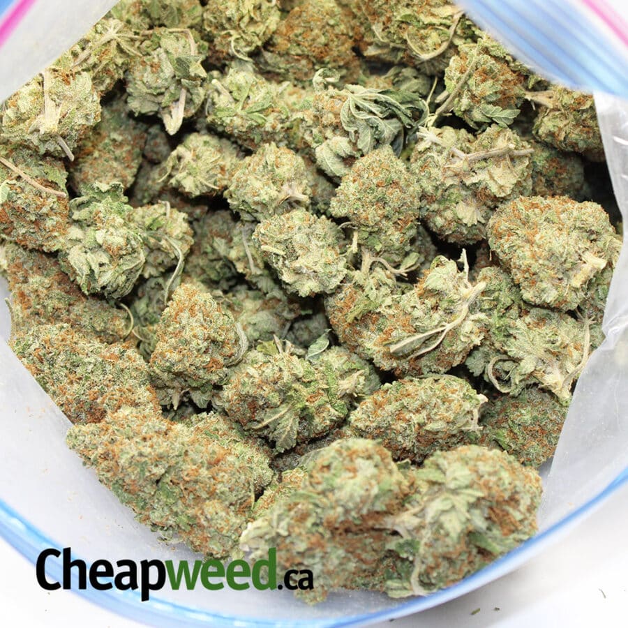 Super Sour Patch - Image 3