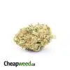 $119 Oz - Thai Haze