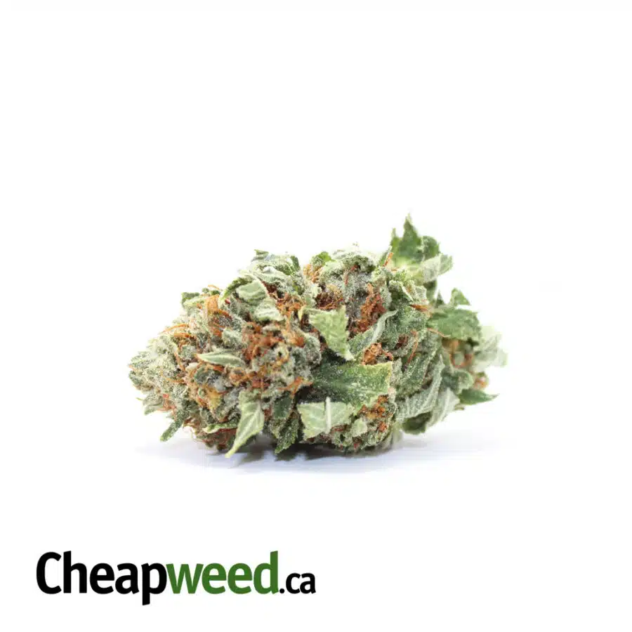 $103 Oz - Select Indica