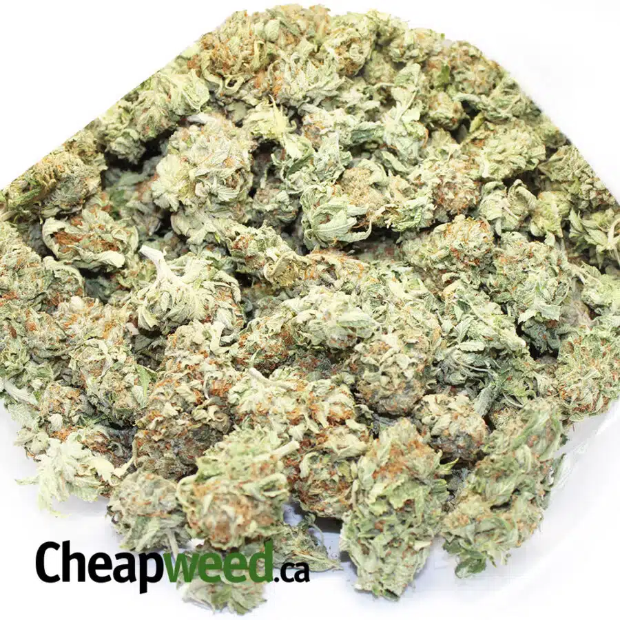 tonys select indica 4 I $103 Oz - Select Indica