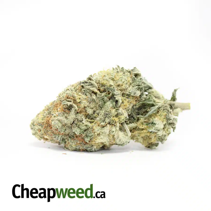$99 Oz - White Cookies