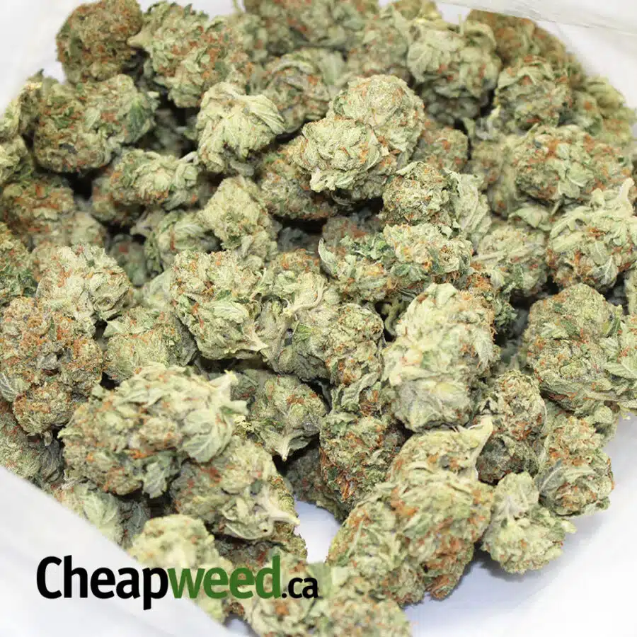 BABY BUBBA 1 I $99 Oz - Baby Bubba Smalls