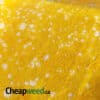 Chernobyl Shatter