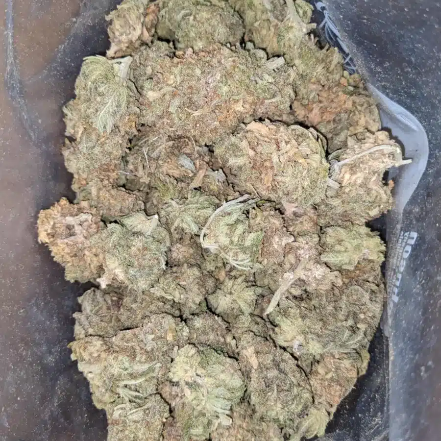 Sweet Diesel 1 I Sweet Diesel