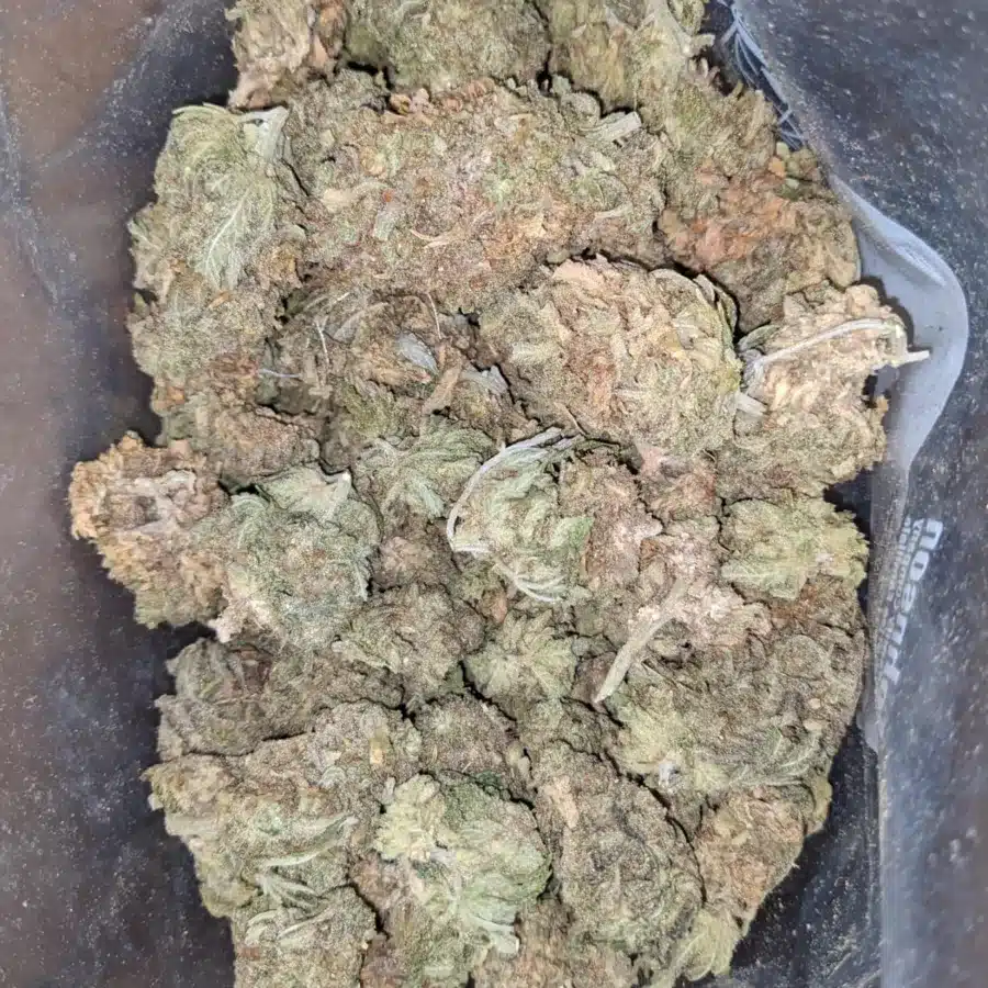 Sweet Diesel 4 I Sweet Diesel