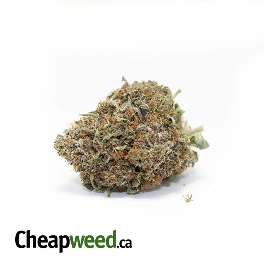 Blue Durban