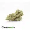 $115 Oz - Dream Berry #2 AAA