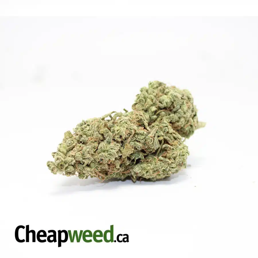 $115 Oz - Dream Berry #2 AAA