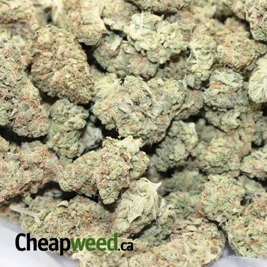 bubbleberry dream 3 I $115 Oz - Dream Berry #2 AAA