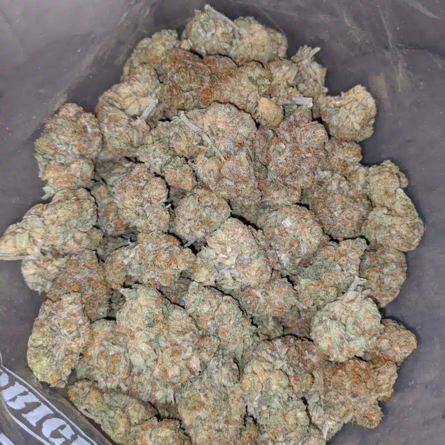 cali bubba 3 I Cali Bubba #2