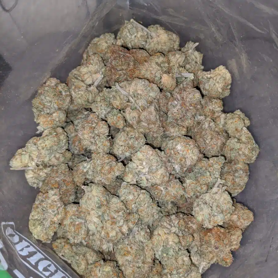 cali bubba 4 I Cali Bubba #2