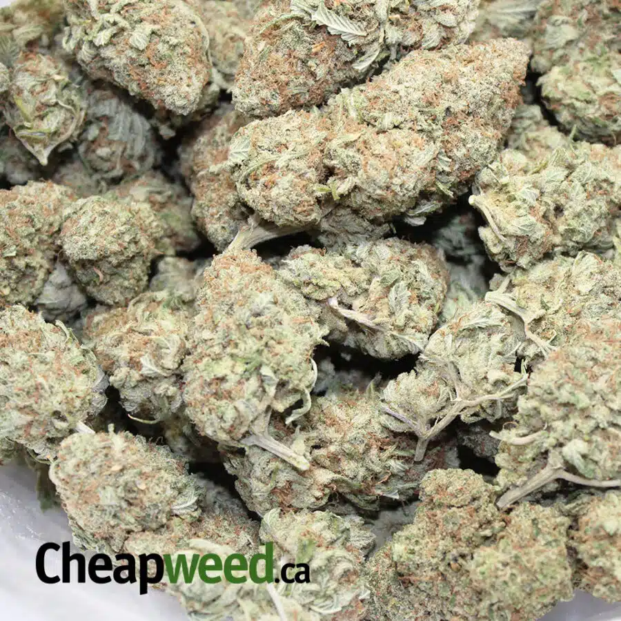 cheap ice og 2 I Cheap Ice OG