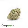 Cheap Ice OG
