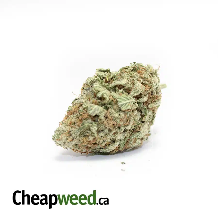 Cheap Ice OG