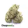 $99 Oz - Earth OG