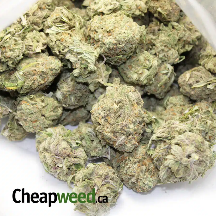 earth og 3 I $99 Oz - Earth OG