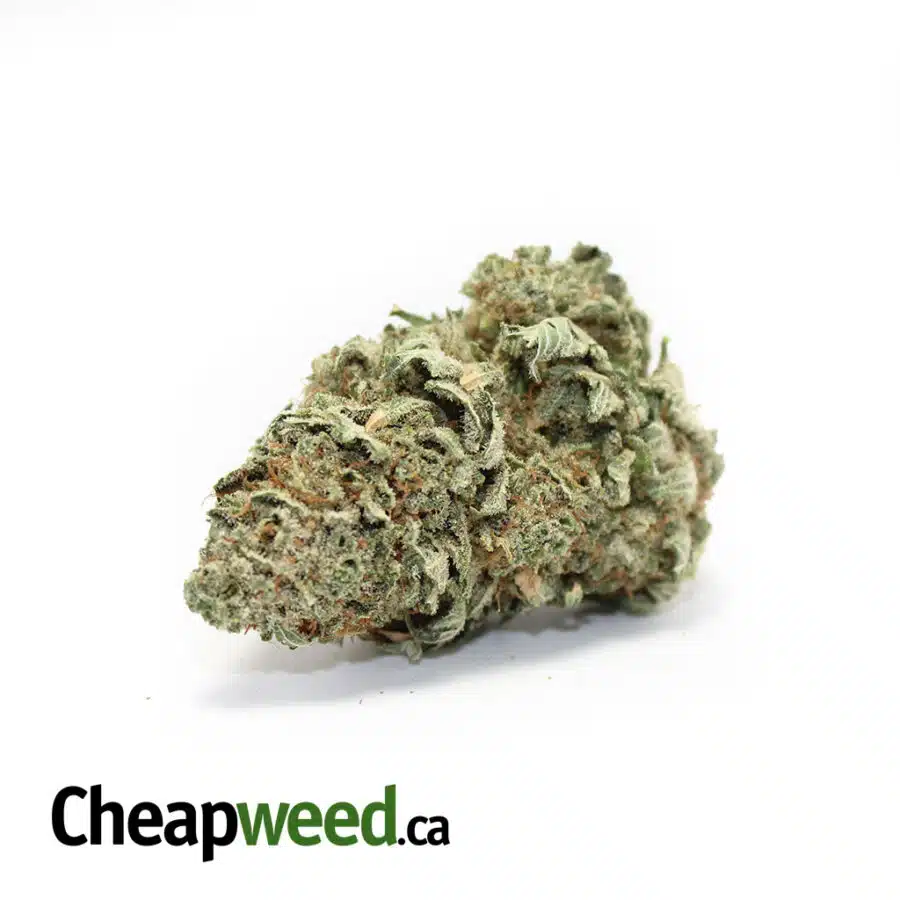 Great OG Kush
