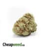 $109 Oz - Lemon Sensi
