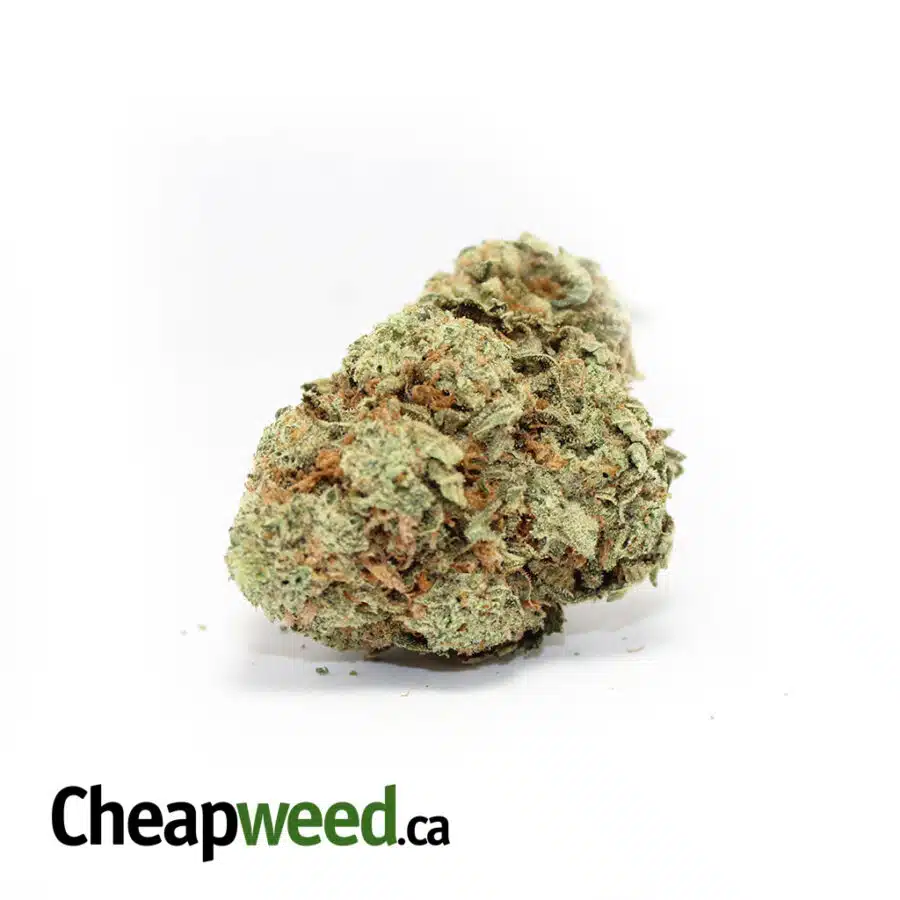 $109 Oz - Lemon Sensi