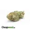 $109 Oz - Nuken AAAA+