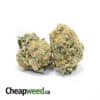 $109 Oz - OG Zombie