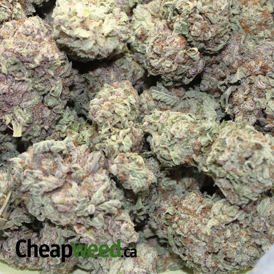 Purple Christmas - Image 3