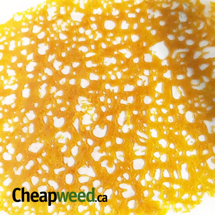 Purple Kush (AAAA) Shatter
