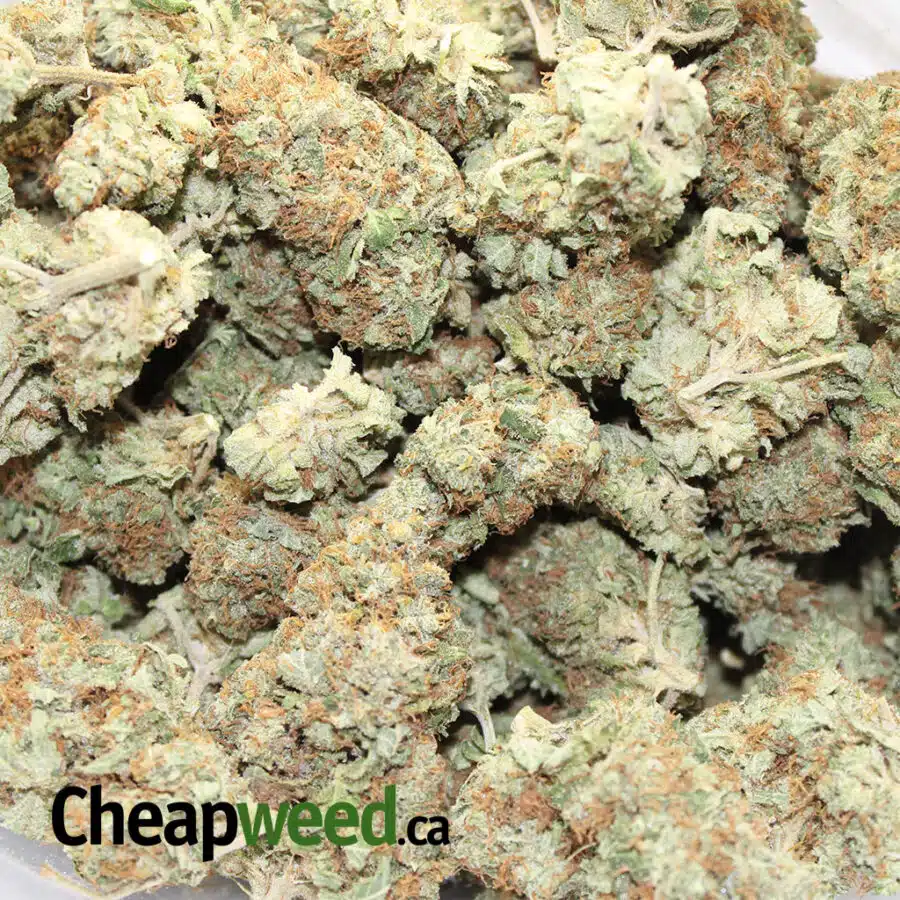 sweet sour diesel 2 I Sweet Sour Diesel