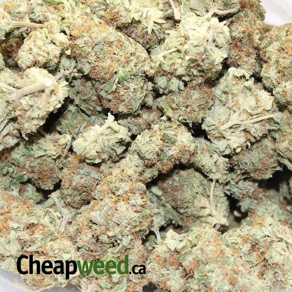Sweet Sour Diesel - Image 3