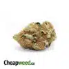 Tony's Fire OG XMAS SPECIAL