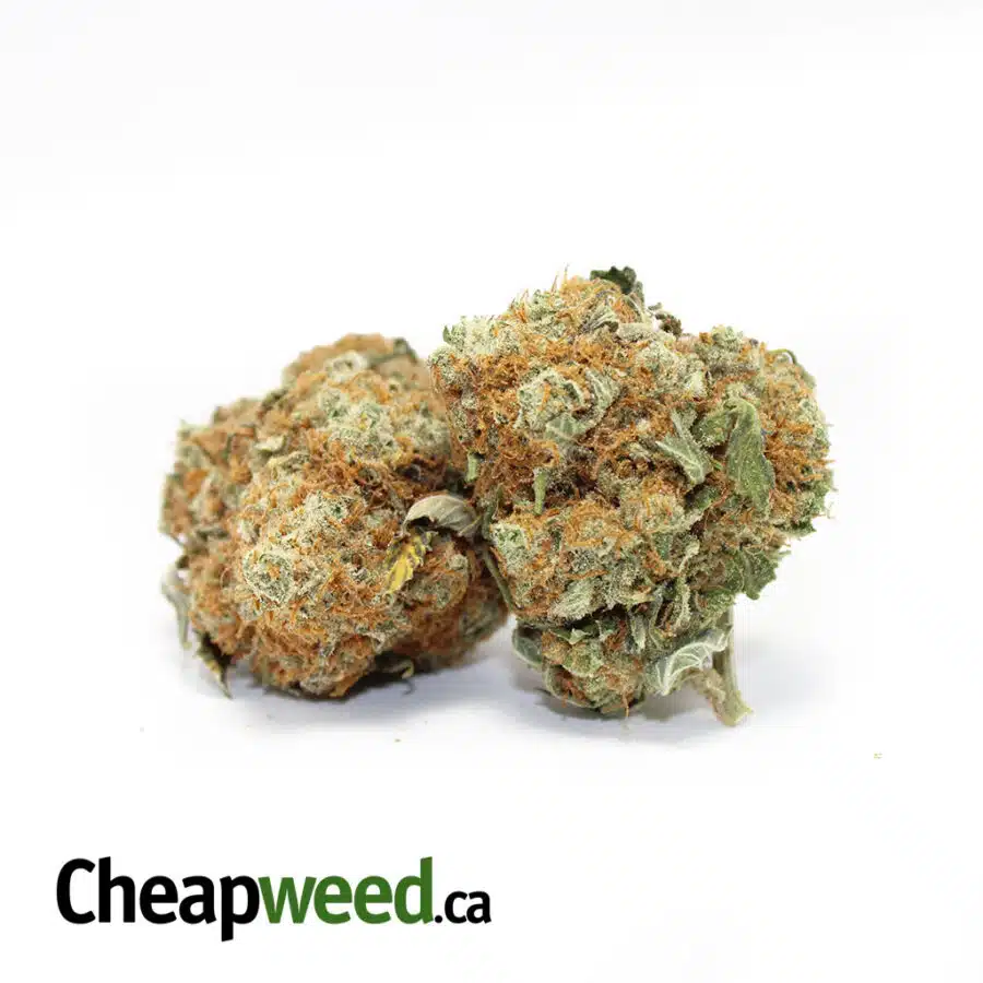 Alternative view of Tony's Fire OG XMAS SPECIAL