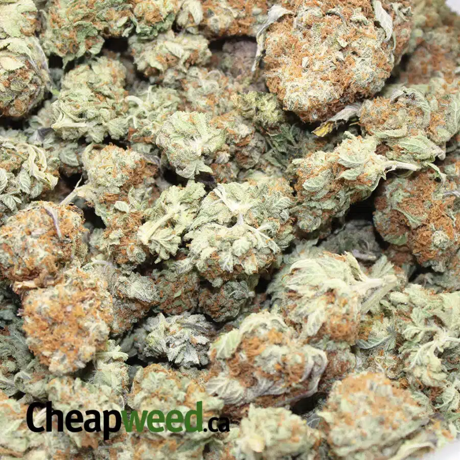 t fire og 3 I Tony's Fire OG XMAS SPECIAL