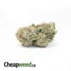 Tony's Green Crack