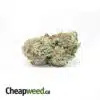 Tony's Green Crack
