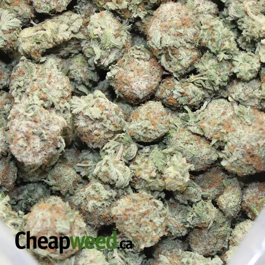 tony green crack 3 I Tony's Green Crack