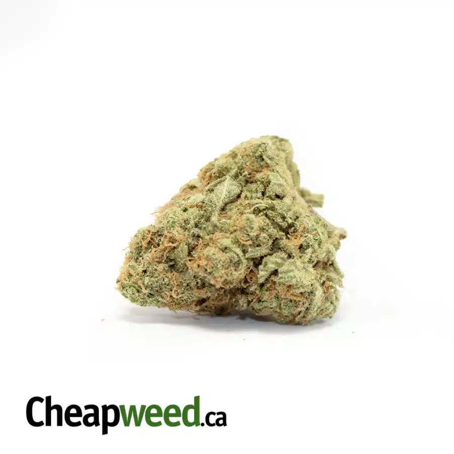 Zombie Bubba XMAS PROMO