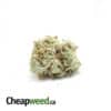 16% THC Sativa