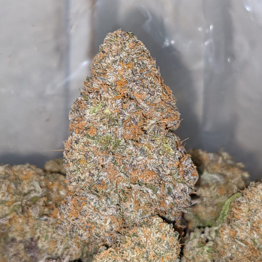 Cookiez AAA - Image 4