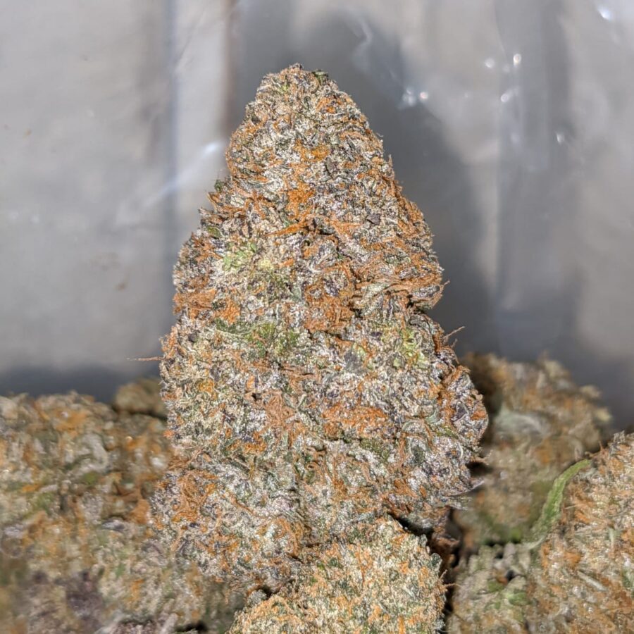 Cookiez AAA - Image 3