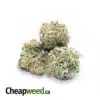 $99 Oz - Green Russian