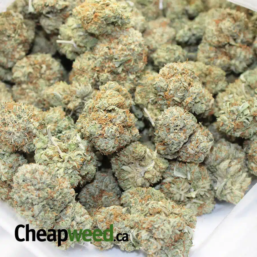 KUSH WRECK 3 1 I $99 Oz - Kushwreck
